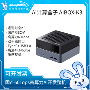 firefly AIBOX-K3计算盒子ARM国产大模型主机进跌时空SpacemiT K3