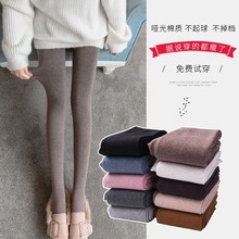 春秋冬打底裤女外穿紧身薄款螺纹保暖灰色内穿棉裤黑色秋裤连裤袜