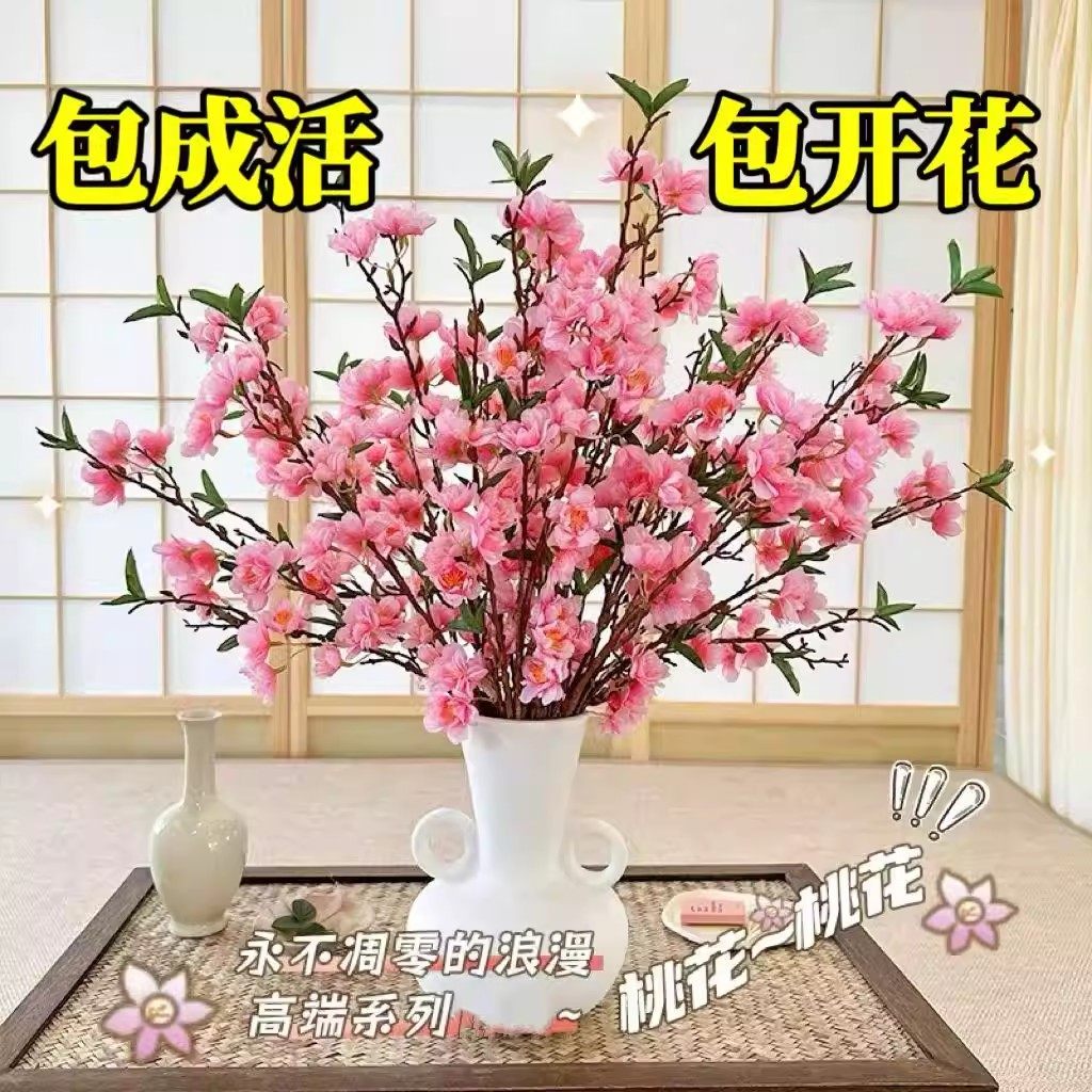 遇水开花装饰桃花枝遇水开花冬季室内水培梅干枝年宵花卉外贸