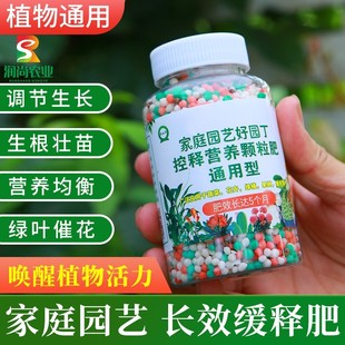 蔬菜专用肥料家用园艺农用肥西红柿番茄辣椒苗通种菜用型化肥