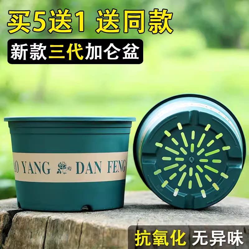 加仑盆塑料花盆家用阳台月季绿萝多肉小号大口径特价