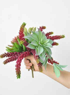 仿真植物 多肉绿植 家居办公商用绿化装饰组合摆件 植物单品F665