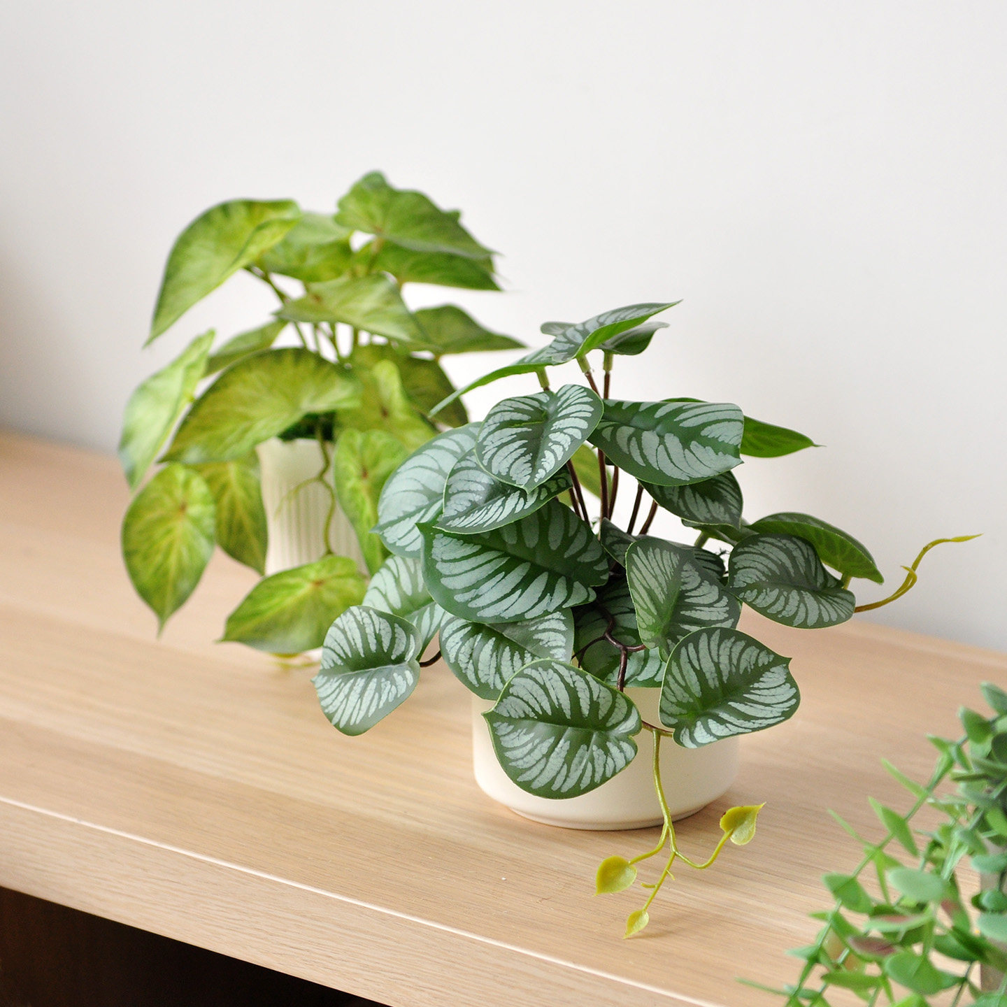 九思仿真绿植假植物龟背叶子桌摆仿生垂吊小盆栽装饰摆件art405