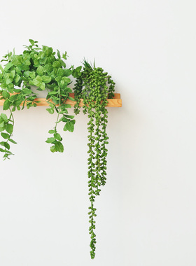 九思 仿真垂吊植物盆栽 书架置物架吊兰花艺 北欧室内装饰art341