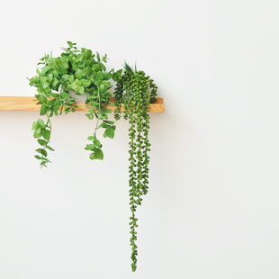北欧室内装 书架置物架吊兰花艺 饰art341 仿真垂吊植物盆栽 九思