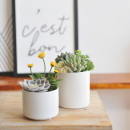 饰品摆件小型仿生植物桌面盆景art007 装 九思 仿真多肉盆栽假绿植