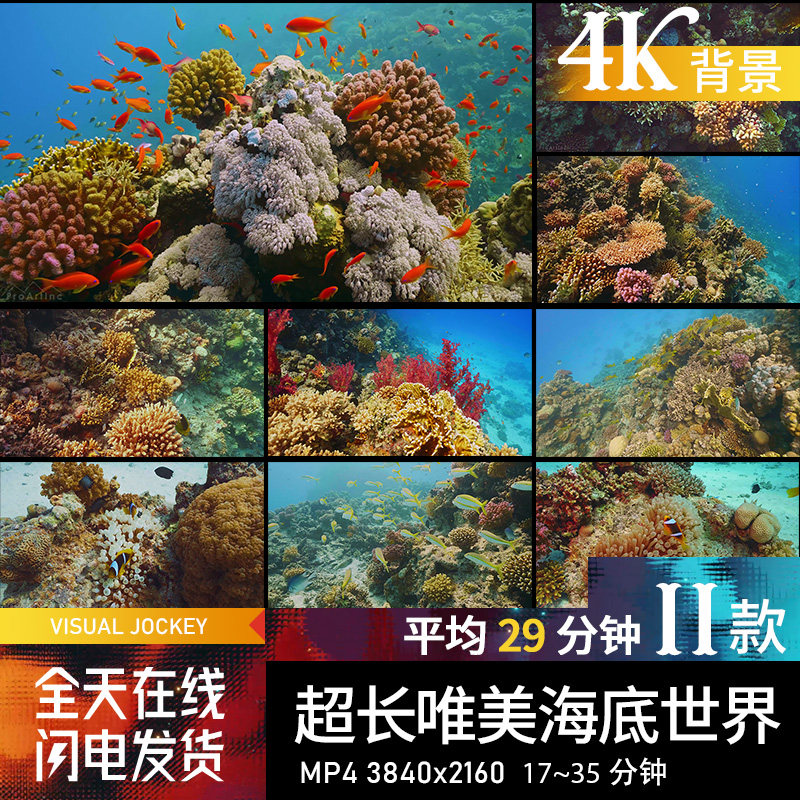 唯美海洋海底世界生态珊瑚直播led视频背景酒吧素材屏幕投屏4k