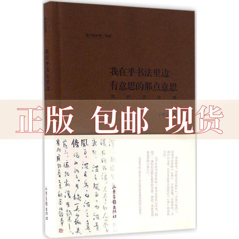 【正版书包邮】我在乎书法里边有意思的那点意思于明诠山东画报出版社