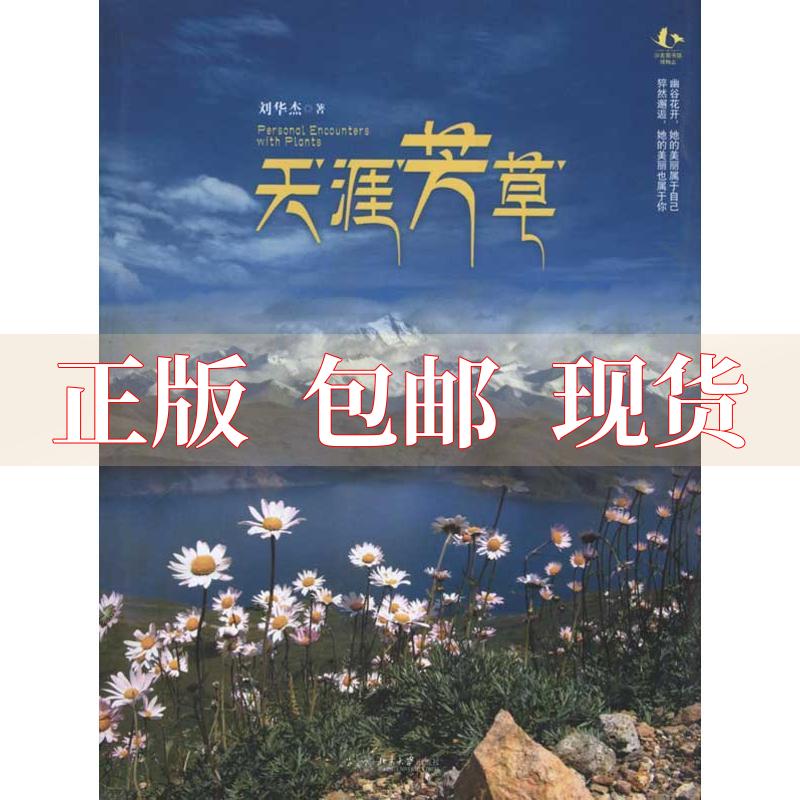 【正版书包邮 天涯芳草 刘华杰 北京大学出版社