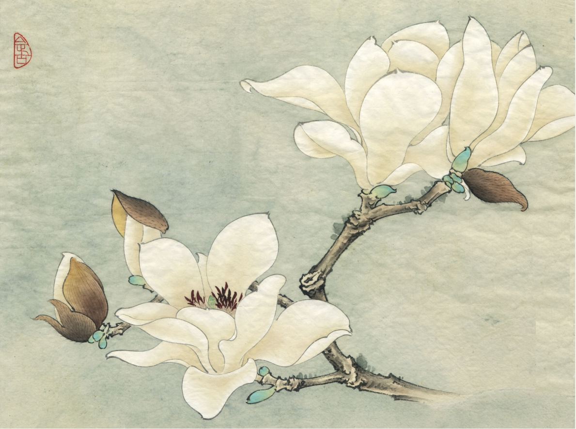 工笔画底稿临摹俞致贞花卉玉兰小品白描29#打印稿宣纸稿