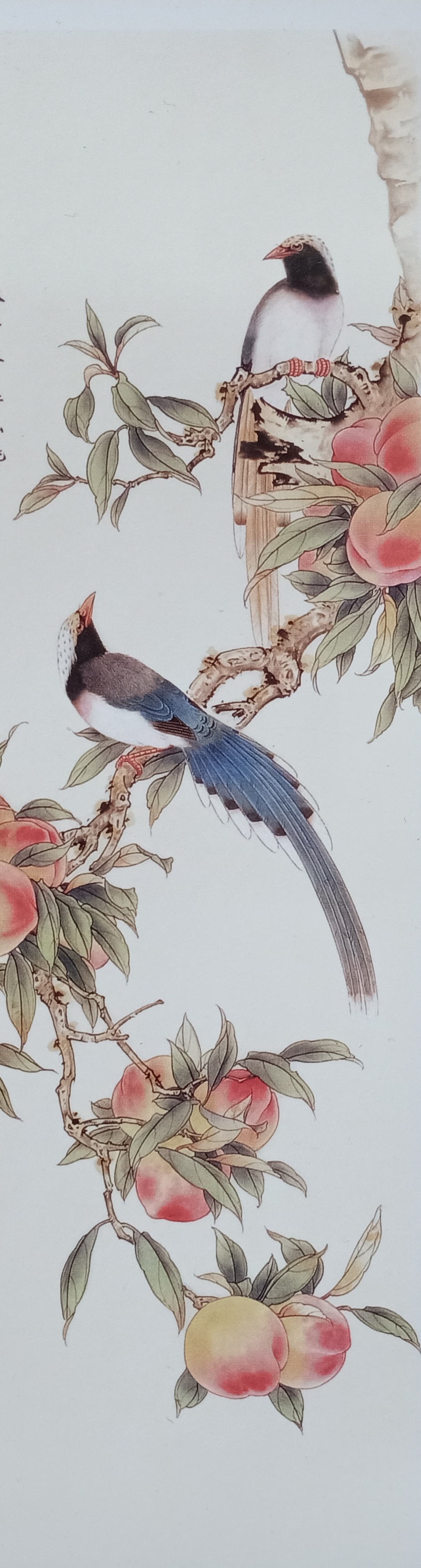 工笔画底稿桃子花鸟吉祥寓意条屏竖副白描6#打印稿宣纸稿学习临摹