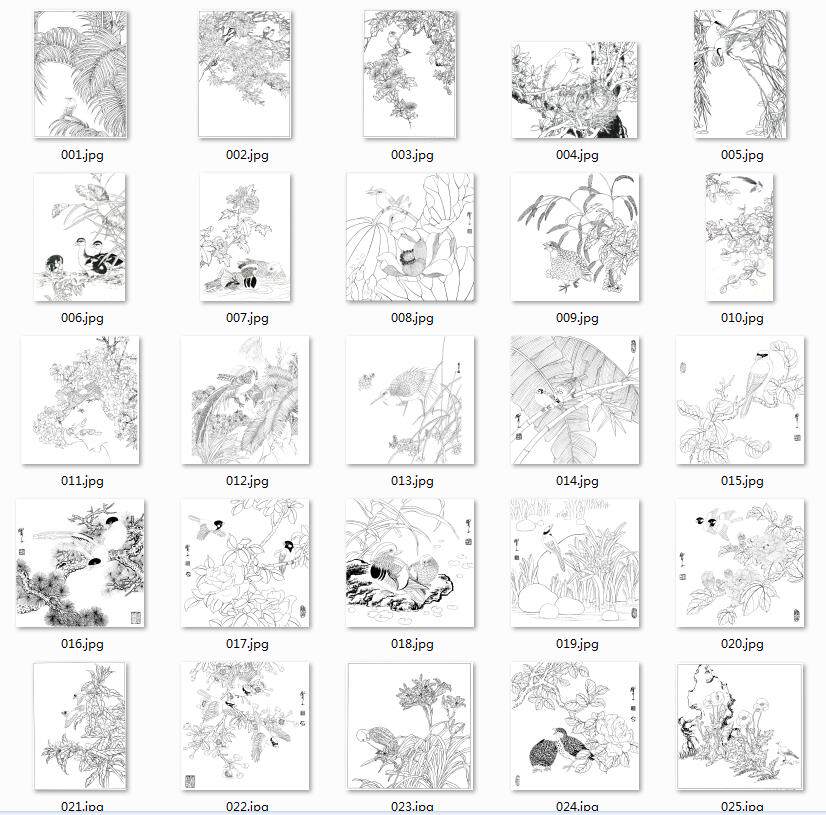 工笔画底稿  花鸟底稿素材156幅 白描电子稿15# 无彩色图