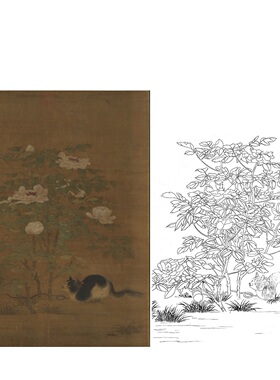 工笔画底稿牡丹猫南宋佚名富贵花狸图参考白描169#打印稿学习临摹