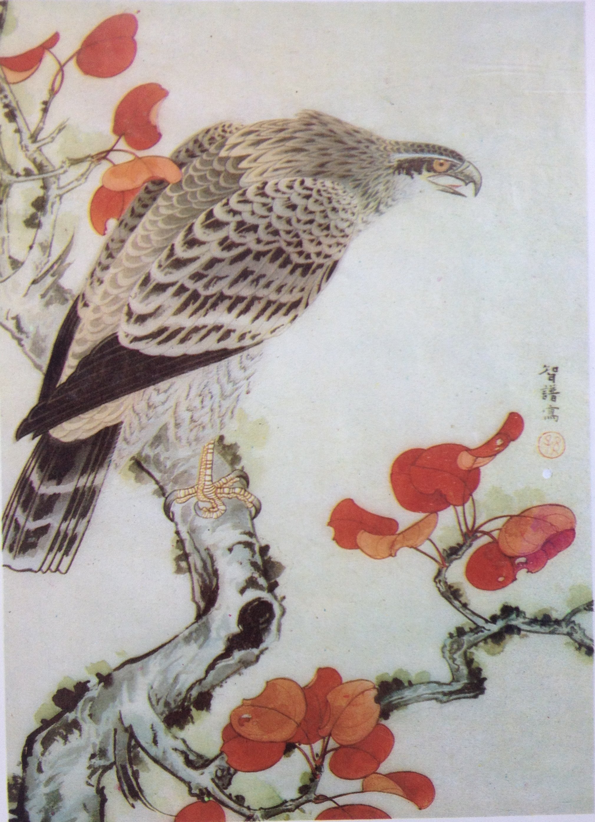 工笔画底稿 孙智谱工笔鹰 红叶雄鹰白描#1打印稿