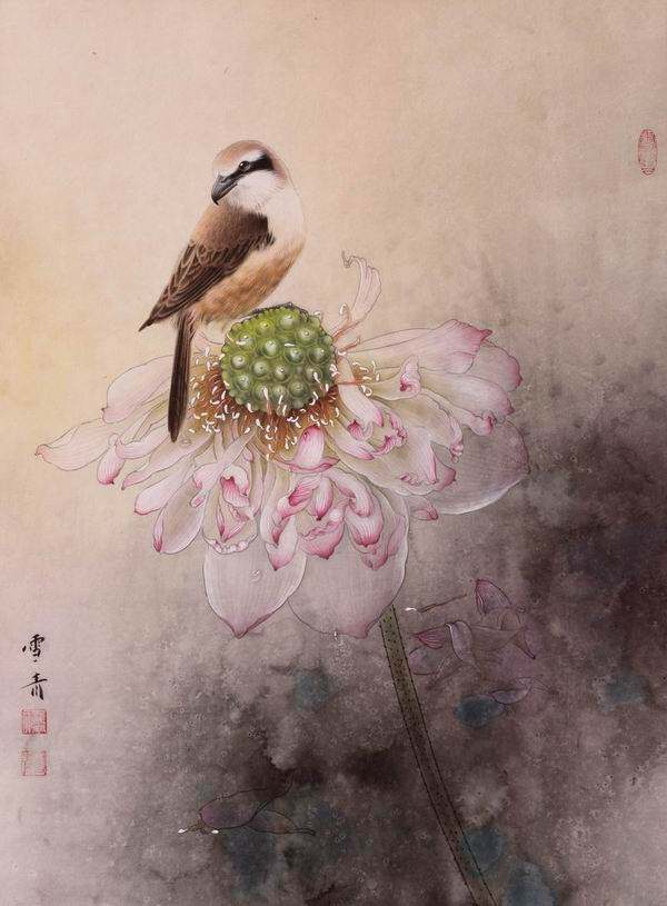 工笔画底稿 龚雪青 伯劳莲花白描21#打印稿毛笔勾线宣纸稿