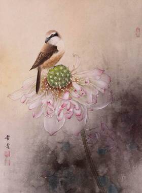 工笔画底稿龚雪青莲花白描宣纸