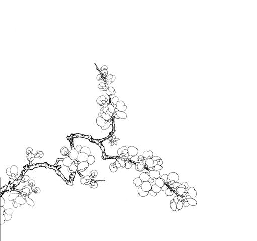 工笔画底稿 宋 马远 倚云仙杏图 白描67#打印稿毛笔勾线宣纸稿
