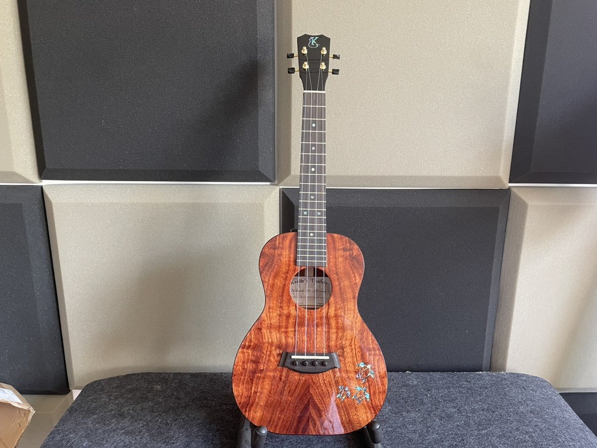 圈k小海龟26寸夏威夷相思木全单