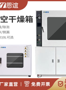 恩谊DZF-6020真空干燥箱恒温真空烘箱真空除泡脱泡机消泡箱实验室
