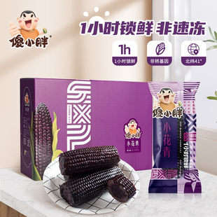 24年傻小胖小花青紫玉米新鲜糯黑玉米礼盒12根非转基因花玉米真空