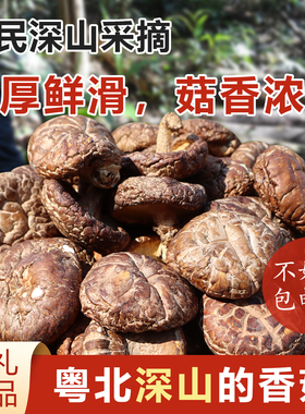 粤北韶关特产丹霞山非椴树香菇始兴南雄翁源河源清远冬菇500g包邮