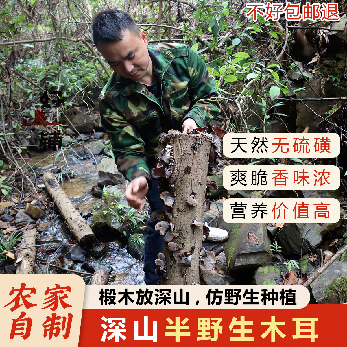 粤北山区椴树黑木耳干货新货深山仿野生特级精选毛木耳500克