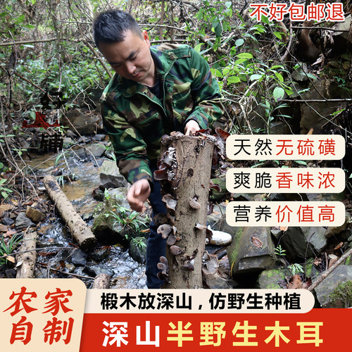 椴木黑木耳特级精选非野生毛木耳