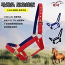 马笼头新品 彩色牵马调教笼头大小矮马龙头嚼子马笼套马术用品促销