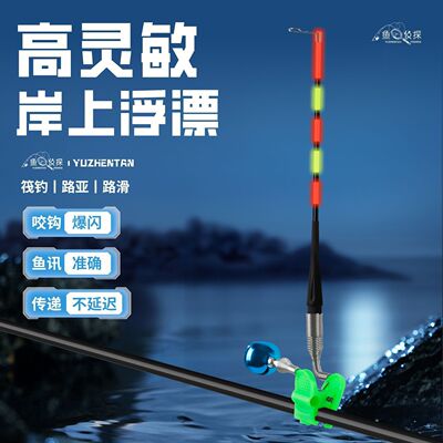 风浪免调专用报警器夜光日夜高灵敏远投醒目路亚岸上浮漂路滑鱼漂