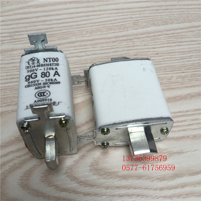 熔芯快速熔断器NT00-50A  63A 100a125A160A 200A250A