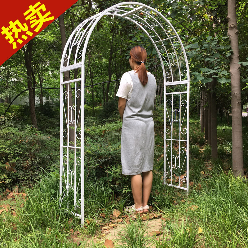 爬架庭院藤本月季别墅游园拱门