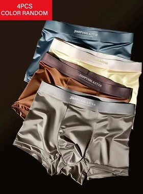 4pcs Luxury Summer Smooth Cool Satin-like Men's Boxer Shorts
