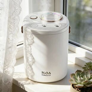 2026 New  USB Air Humidifier Large Capacity Ultra Quiet For