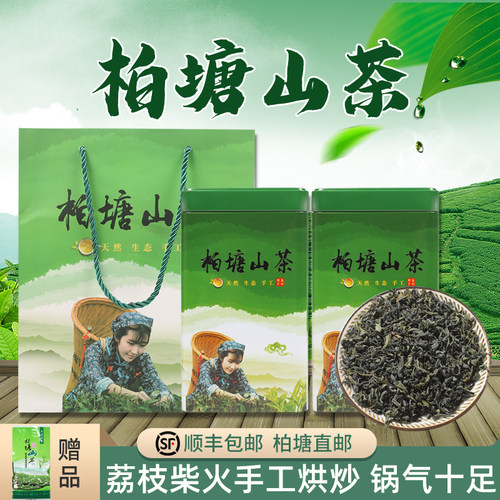 柏塘山茶明前春分茶客家特级绿茶