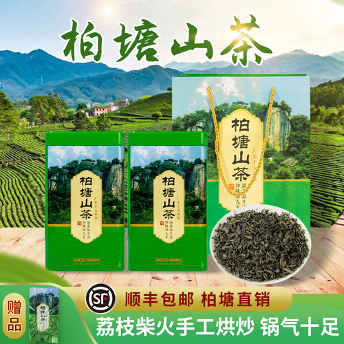 柏塘山茶明前清明茶客家特级绿茶