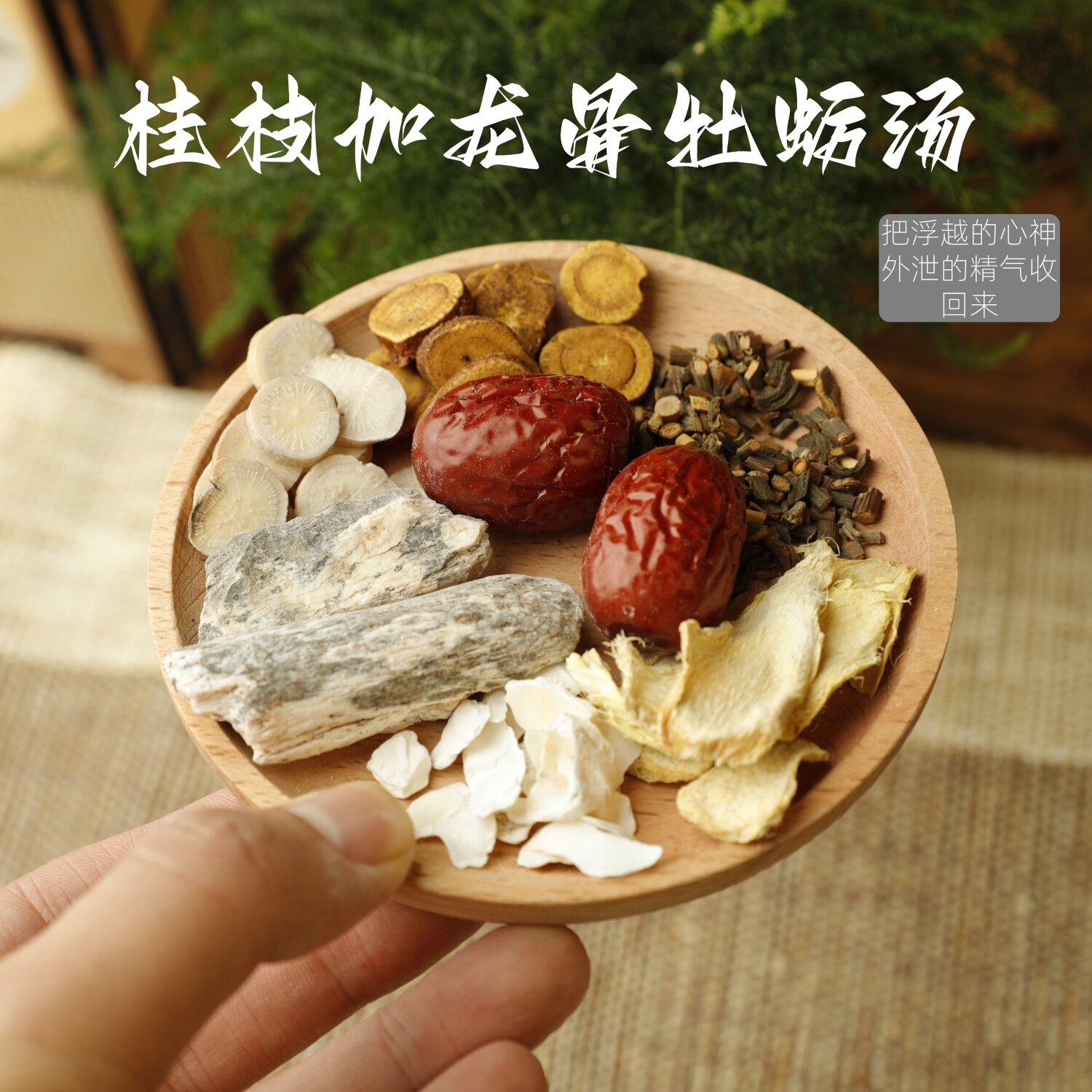 桂枝龙骨牡蛎汤中药材原料倪海厦推荐真龙骨精选桂枝煮水养心安神