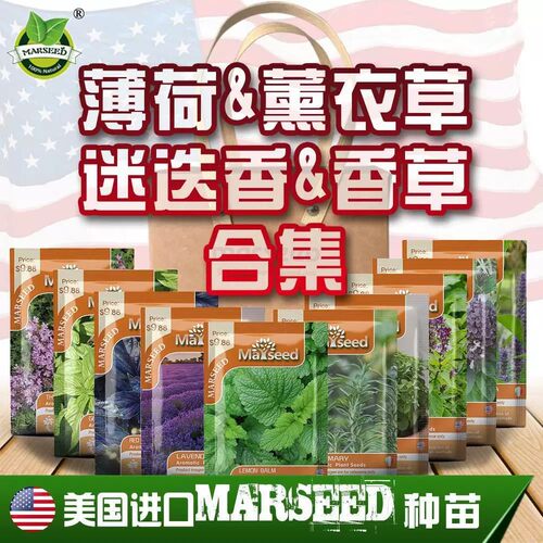 Rosemary thyme lemon mint perilla basil seeds seedling tray