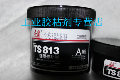 泰盛ts813修补剂 泰盛TS813铝修补胶 修补铝材料 250G 新包装