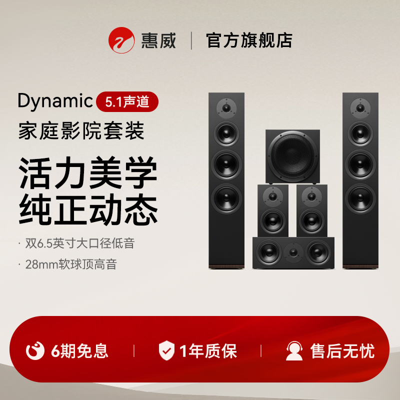 Hivi/惠威 Dynamic 160套装家庭影院环绕音响5.1电视客厅组合音箱