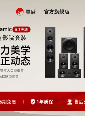 Hivi/惠威 Dynamic 160套装家庭影院环绕音响5.1电视客厅组合音箱