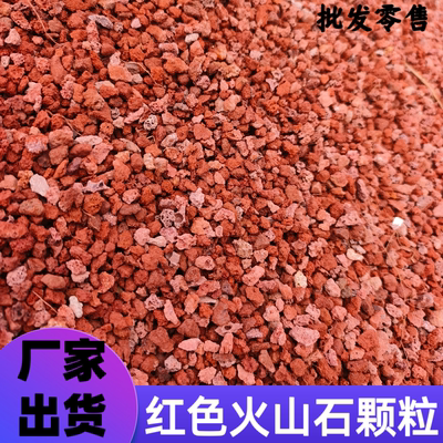 红色火山石多肉铺面种花