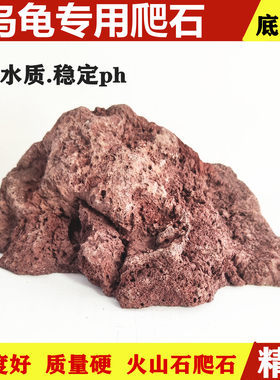 晒背台火山石浮岛爬坡乌龟