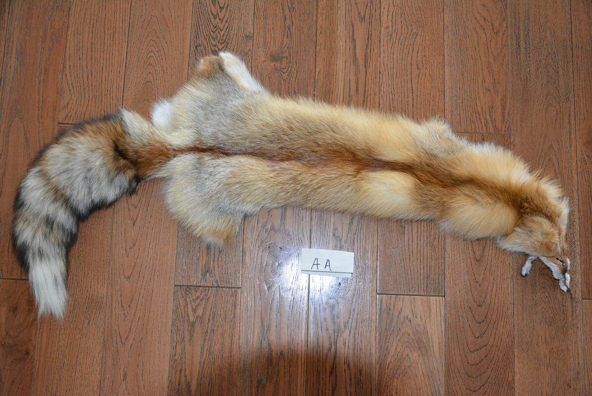 金丝红狐狸AA披肩裘皮