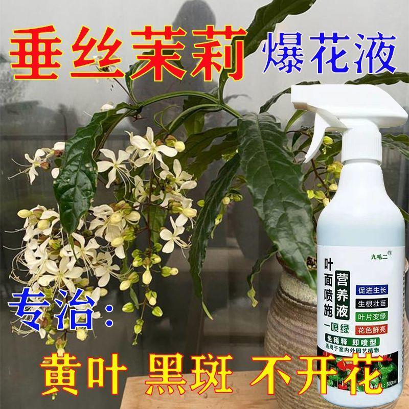 一喷开花】垂丝茉莉专用营养液促开花治黄叶枯萎生长慢专用液体肥 鲜花速递/花卉仿真/绿植园艺 家庭园艺肥料 原图主图