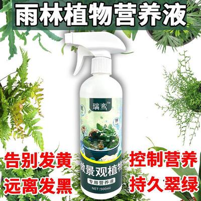 迷你植物营养液苔藓专用