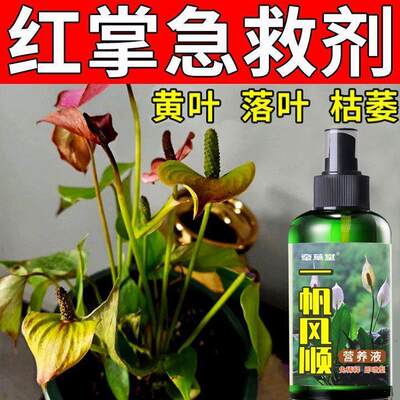 适合各种花的营养液一帆风顺营养液【养不死】红掌白掌花肥水溶性