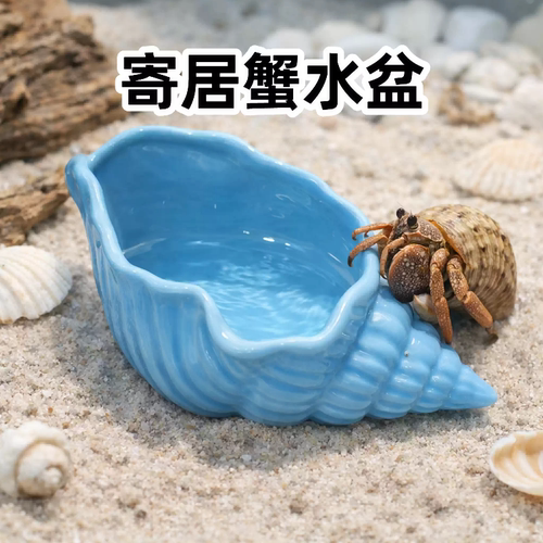 寄居蟹专用陶瓷浅口水盆