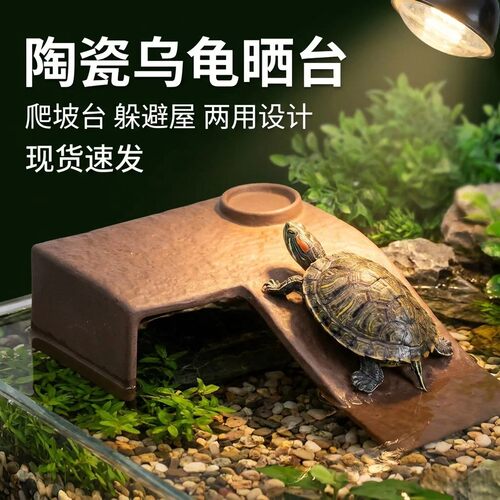 陶瓷乌龟缸晒背爬台躲避休息