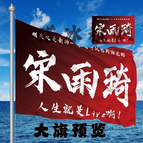 宋雨琦应援大旗明星演唱会手持应援旗户外音乐节应援旗定制代发