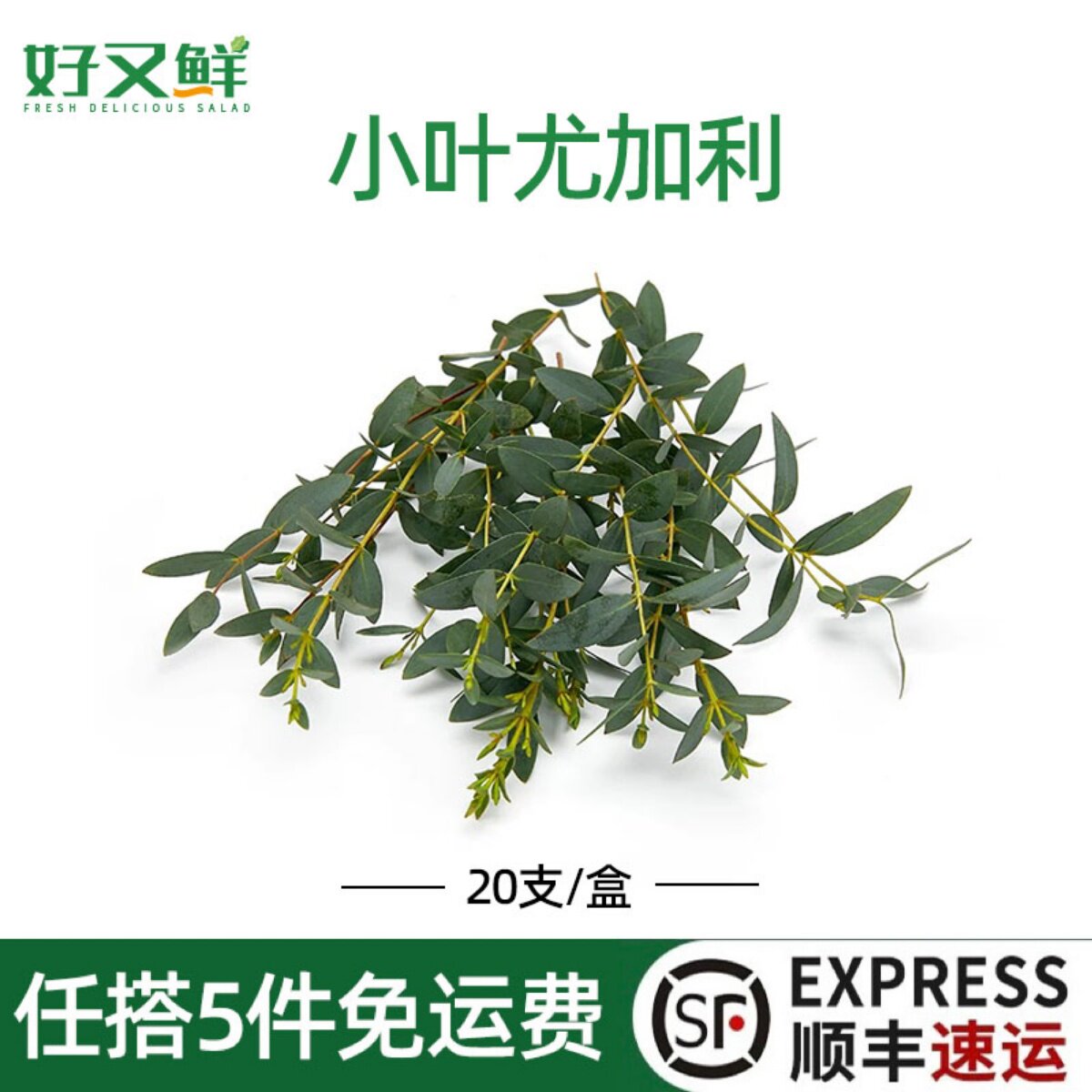 新鲜小叶尤加利蛋糕日料点缀摆盘